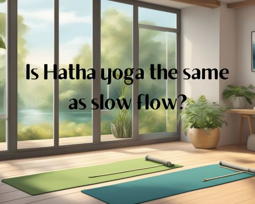 A serene studio with two yoga mats, one labeled Hatha and the other Slow Flow, surrounded by calming nature scenery